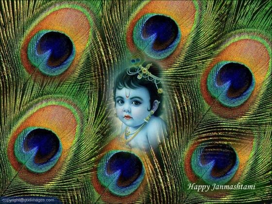 Govinda Alla re Alla, Lord Krishna, Janmashtami